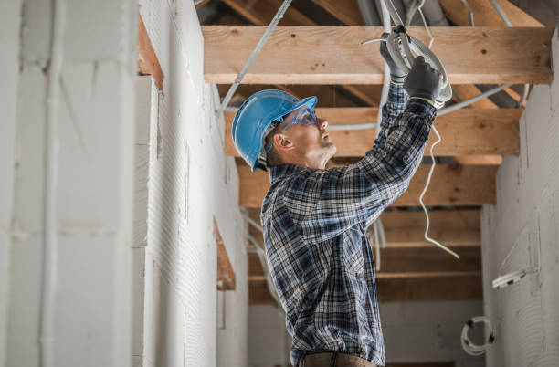 Best Commercial Electrician Services  in Louisburg, KS