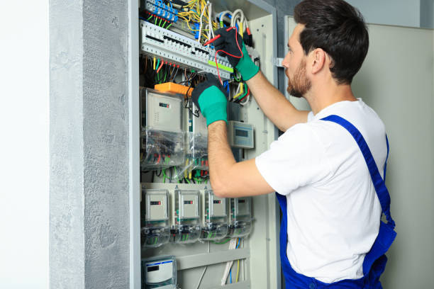 Best Licensed Electrician  in Louisburg, KS