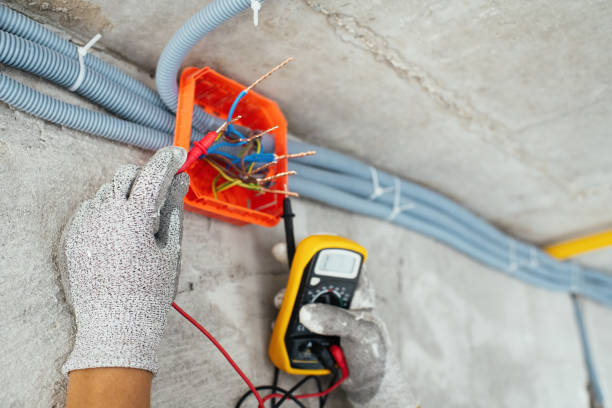 Best Electrical Upgrades for Homes  in Louisburg, KS