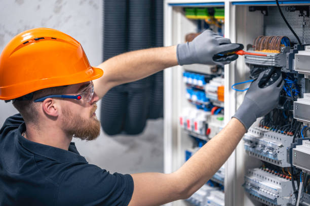 Best Electrical System Inspection  in Louisburg, KS